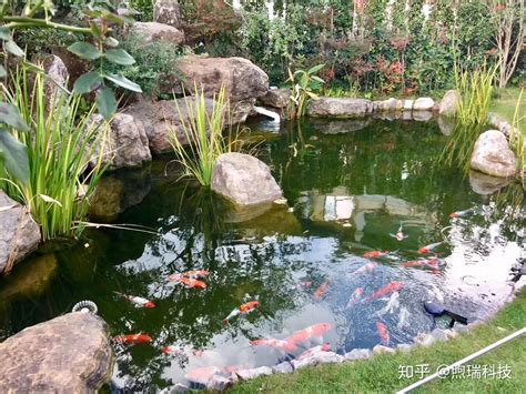 什麼花最好養 庭院魚池鱼池设计